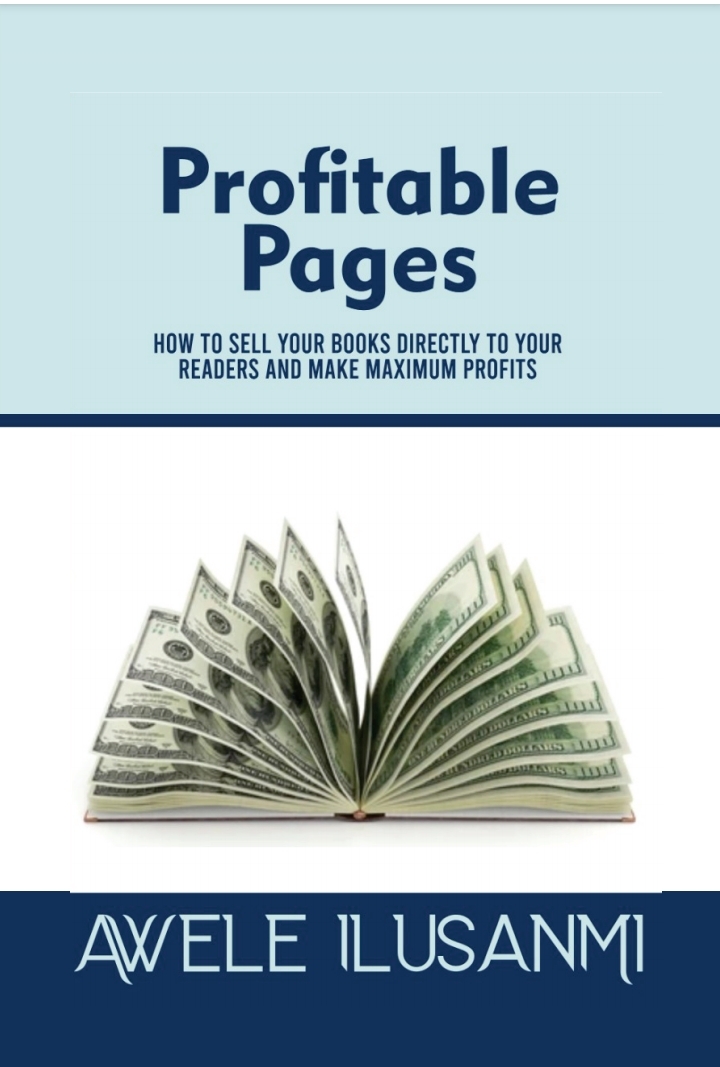 Review of the Book: Profitable Pages by Awele Ilusanmi